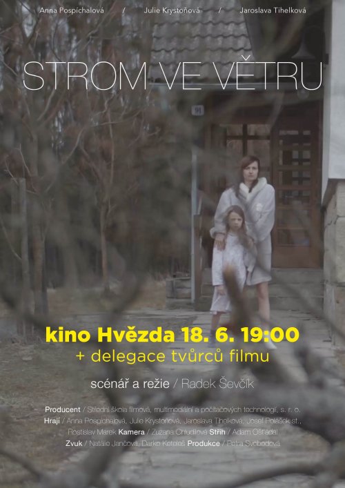 ZUŠ Uherské Hradiště doporučuje: | Strom ve větru