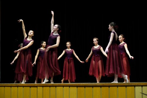 Koncert sólistů a souborů | k 80. výročí ZUŠ v Boršicích